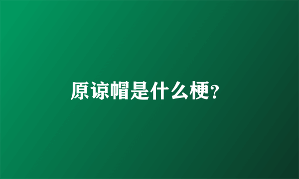 原谅帽是什么梗？