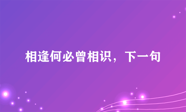 相逢何必曾相识，下一句