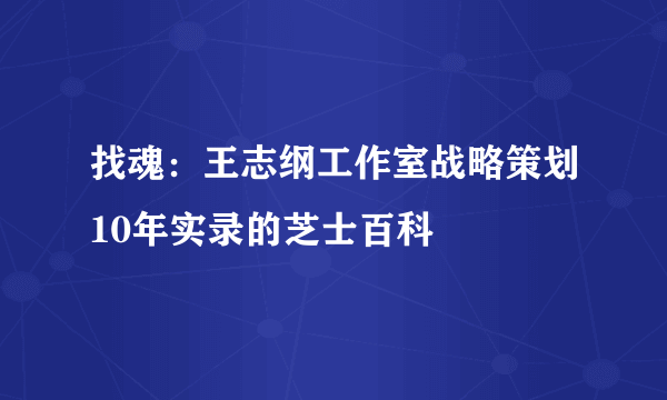 找魂：王志纲工作室战略策划10年实录的芝士百科