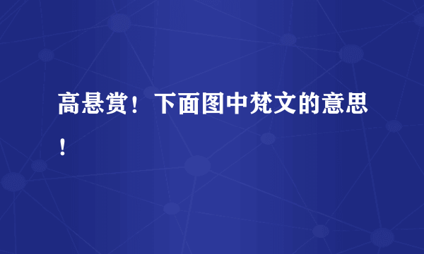 高悬赏！下面图中梵文的意思！