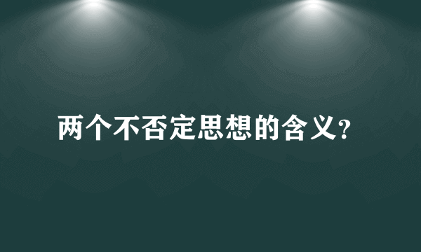 两个不否定思想的含义？