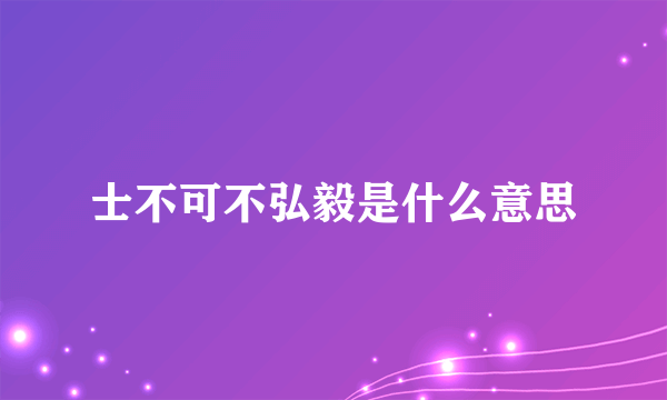 士不可不弘毅是什么意思