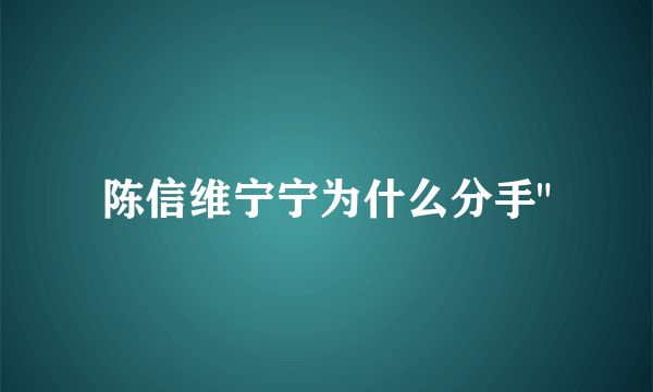 陈信维宁宁为什么分手