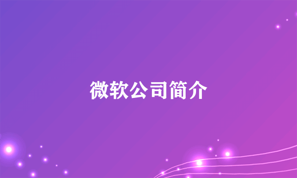 微软公司简介