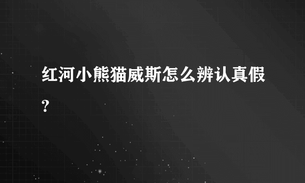 红河小熊猫威斯怎么辨认真假？