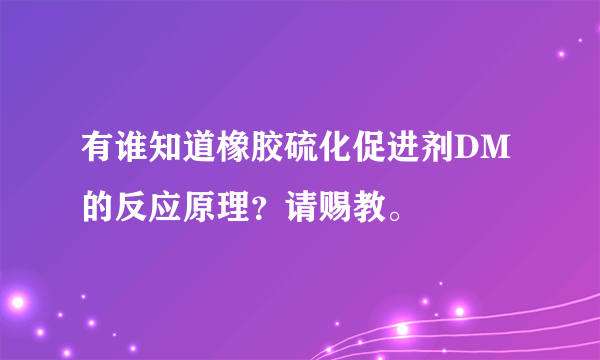 有谁知道橡胶硫化促进剂DM的反应原理？请赐教。