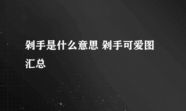 剁手是什么意思 剁手可爱图汇总