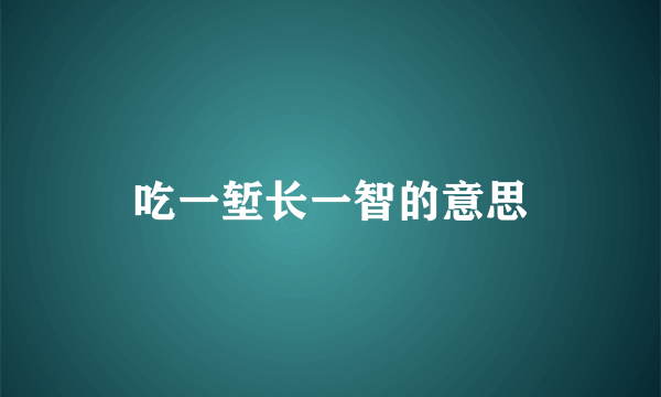 吃一堑长一智的意思