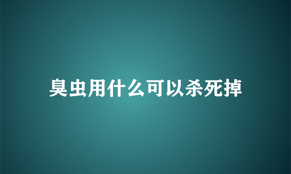 臭虫用什么可以杀死掉