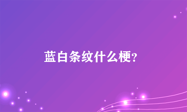 蓝白条纹什么梗？