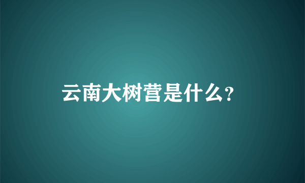 云南大树营是什么？