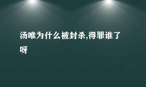 汤唯为什么被封杀,得罪谁了呀