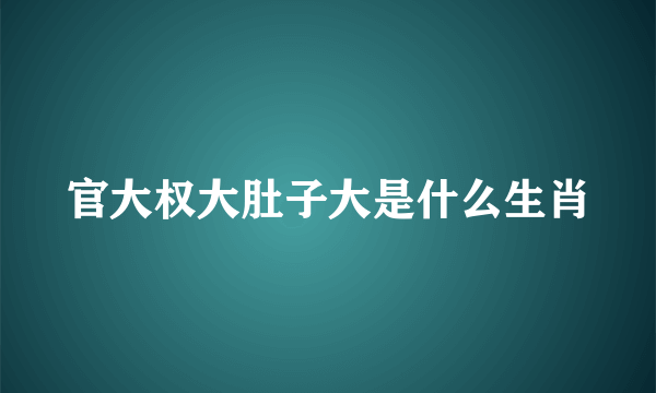 官大权大肚子大是什么生肖