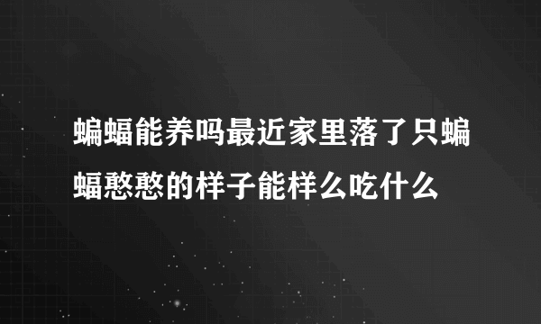 蝙蝠能养吗最近家里落了只蝙蝠憨憨的样子能样么吃什么