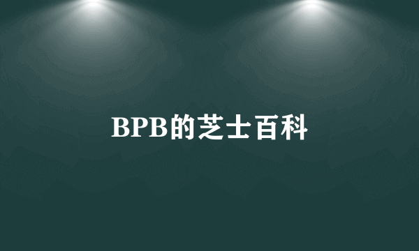 BPB的芝士百科