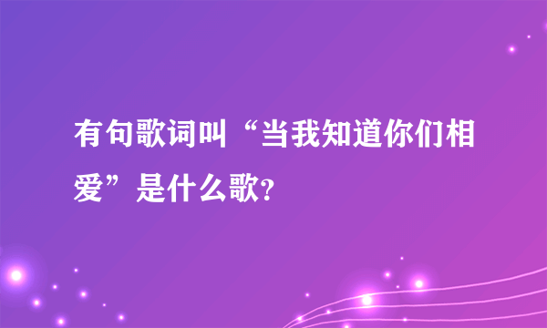 有句歌词叫“当我知道你们相爱”是什么歌？