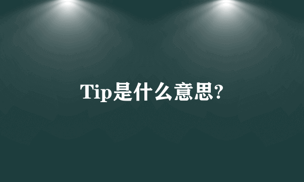 Tip是什么意思?