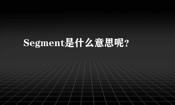 Segment是什么意思呢？