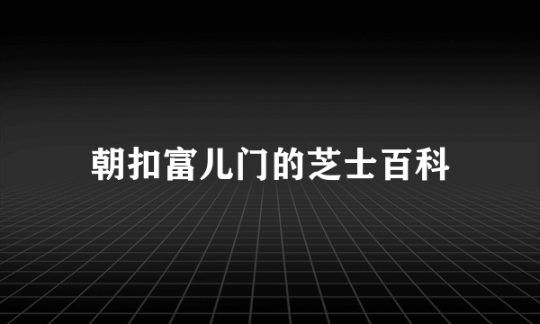 朝扣富儿门的芝士百科