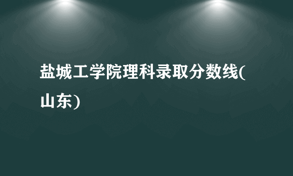 盐城工学院理科录取分数线(山东)