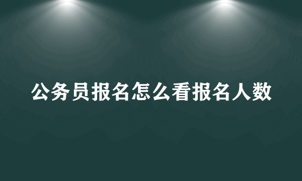 公务员报名怎么看报名人数