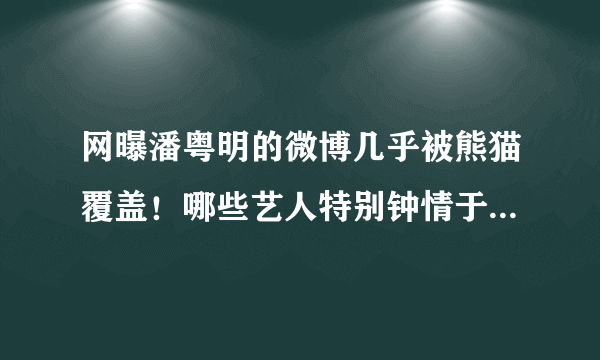 网曝潘粤明的微博几乎被熊猫覆盖！哪些艺人特别钟情于国宝熊猫？