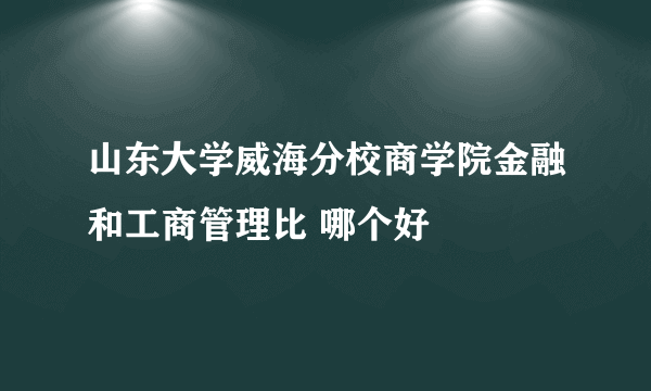 山东大学威海分校商学院金融和工商管理比 哪个好