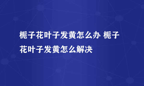 栀子花叶子发黄怎么办 栀子花叶子发黄怎么解决