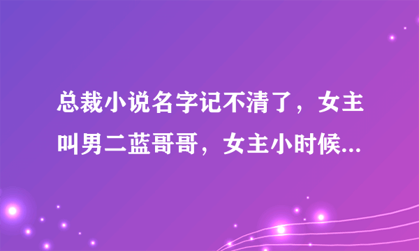 总裁小说名字记不清了，女主叫男二蓝哥哥，女主小时候全家被女主家杀？