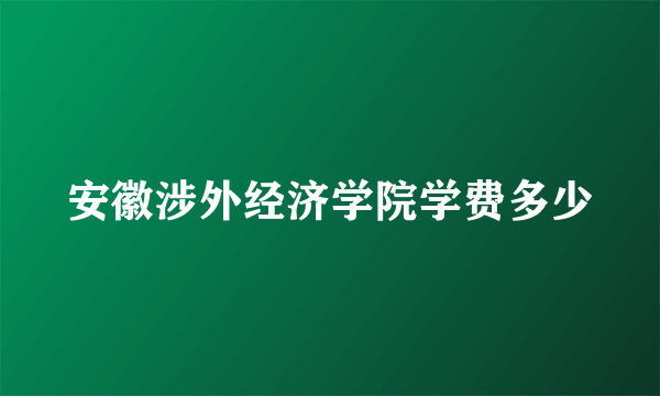 安徽涉外经济学院学费多少