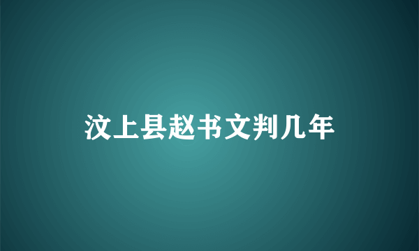 汶上县赵书文判几年