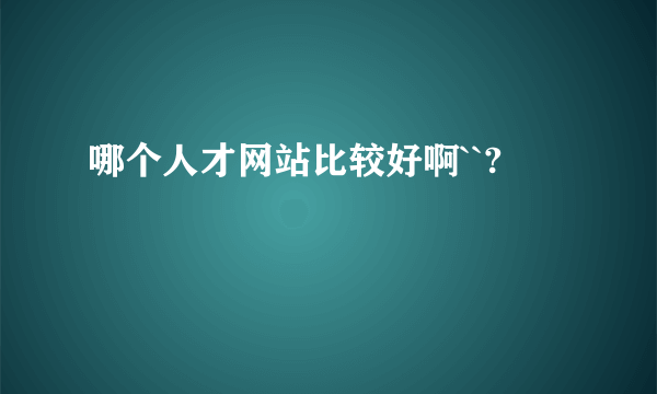 哪个人才网站比较好啊``?