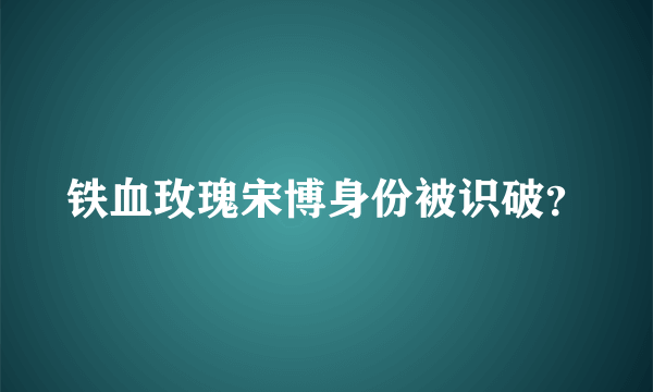 铁血玫瑰宋博身份被识破？