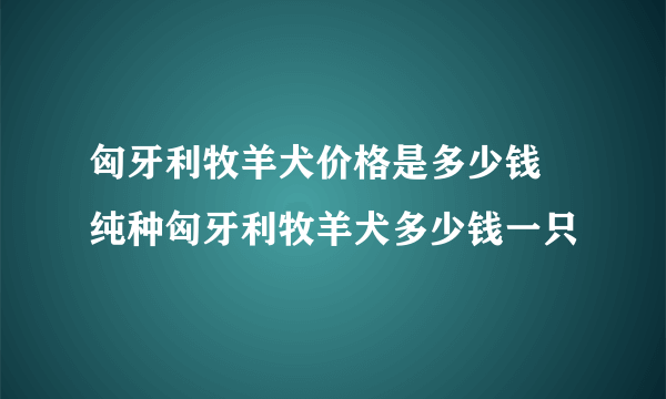 匈牙利牧羊犬价格是多少钱 纯种匈牙利牧羊犬多少钱一只