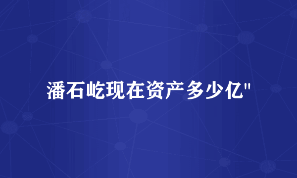 潘石屹现在资产多少亿