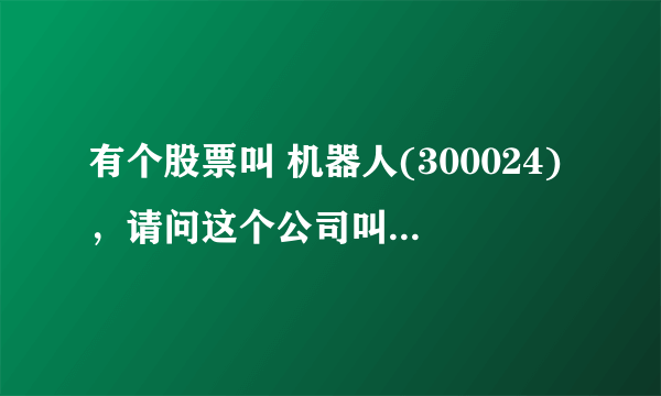 有个股票叫 机器人(300024)，请问这个公司叫什么名字？公司名也叫 机器人 么？