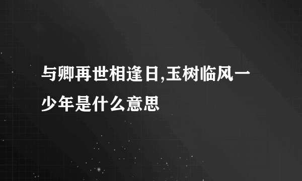 与卿再世相逢日,玉树临风一少年是什么意思