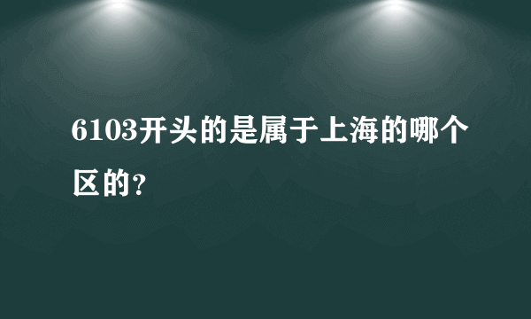 6103开头的是属于上海的哪个区的？