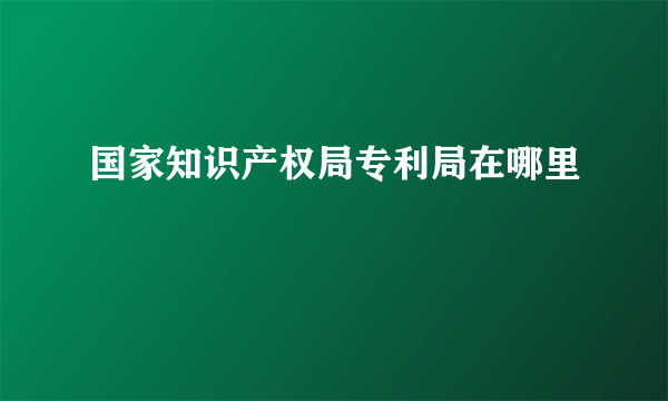 国家知识产权局专利局在哪里