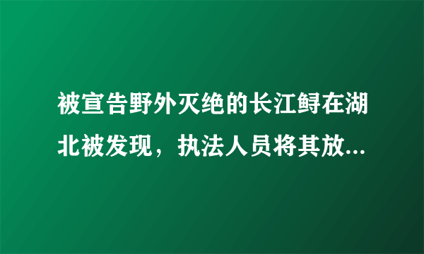 被宣告野外灭绝的长江鲟在湖北被发现，执法人员将其放归长江这意味着什么？