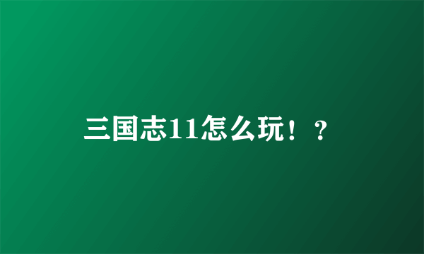 三国志11怎么玩！？