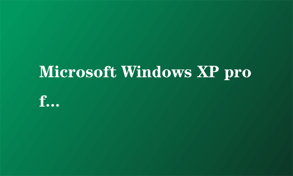 Microsoft Windows XP professional 系统和Microsoft Windows XP Prifessional SP3是一样的吗？