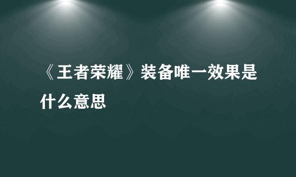 《王者荣耀》装备唯一效果是什么意思