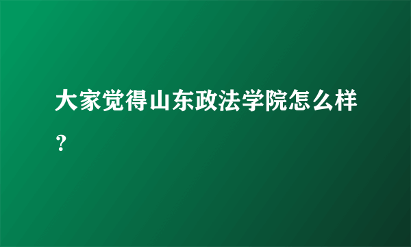 大家觉得山东政法学院怎么样？