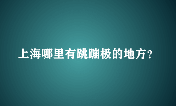 上海哪里有跳蹦极的地方？