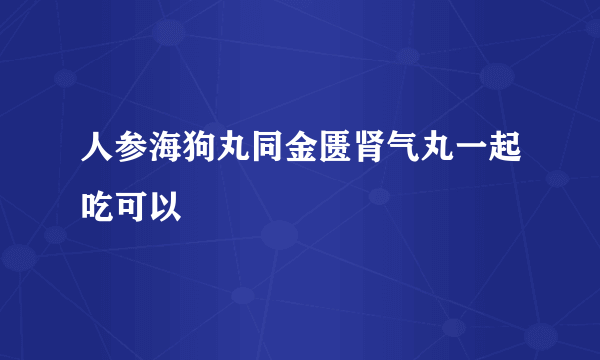 人参海狗丸同金匮肾气丸一起吃可以