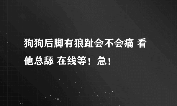 狗狗后脚有狼趾会不会痛 看他总舔 在线等！急！