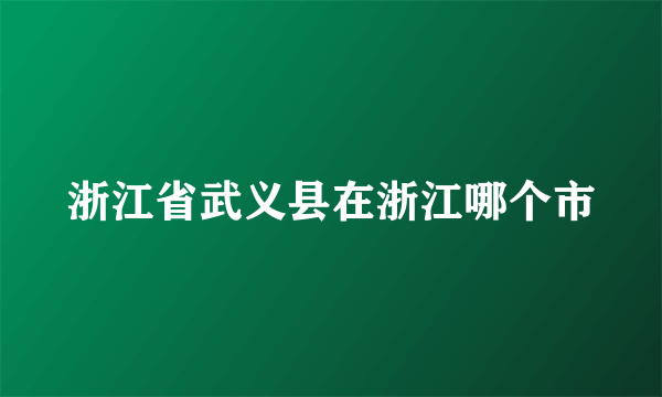 浙江省武义县在浙江哪个市