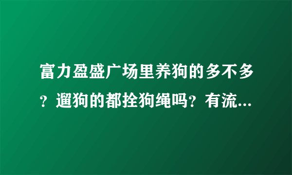 富力盈盛广场里养狗的多不多？遛狗的都拴狗绳吗？有流浪宠物吗？