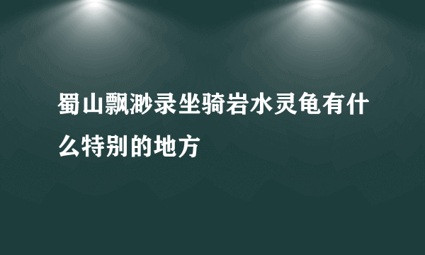 蜀山飘渺录坐骑岩水灵龟有什么特别的地方